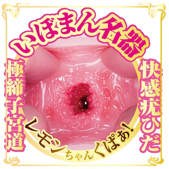NPG AV Mini Meiki Lemon Tanaka Onahole-4